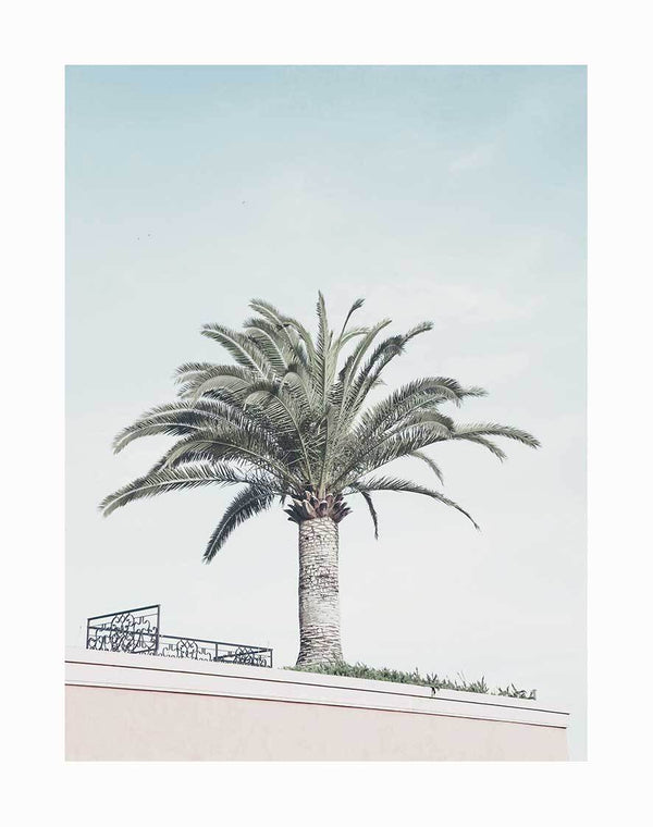 The Venice Beach Unframed Art Print by Urban Road features a tall palm tree against a pale blue sky above a beige building with a black railing and green rooftop plants—a striking photographic image.