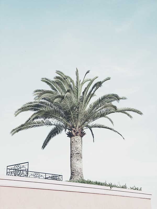 Venice Beach Canvas Art Print