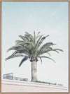 Venice Beach Canvas Art Print