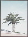 Venice Beach Canvas Art Print