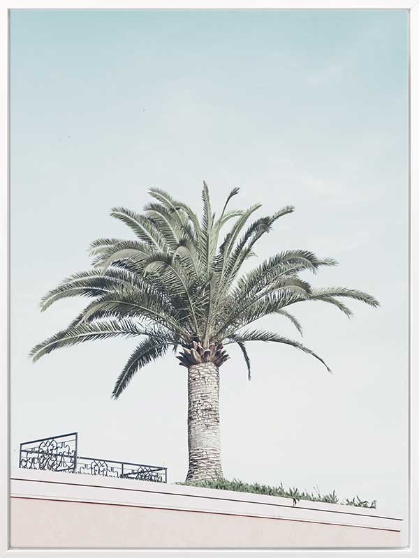 Venice Beach Canvas Art Print