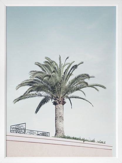 Venice Beach Poster