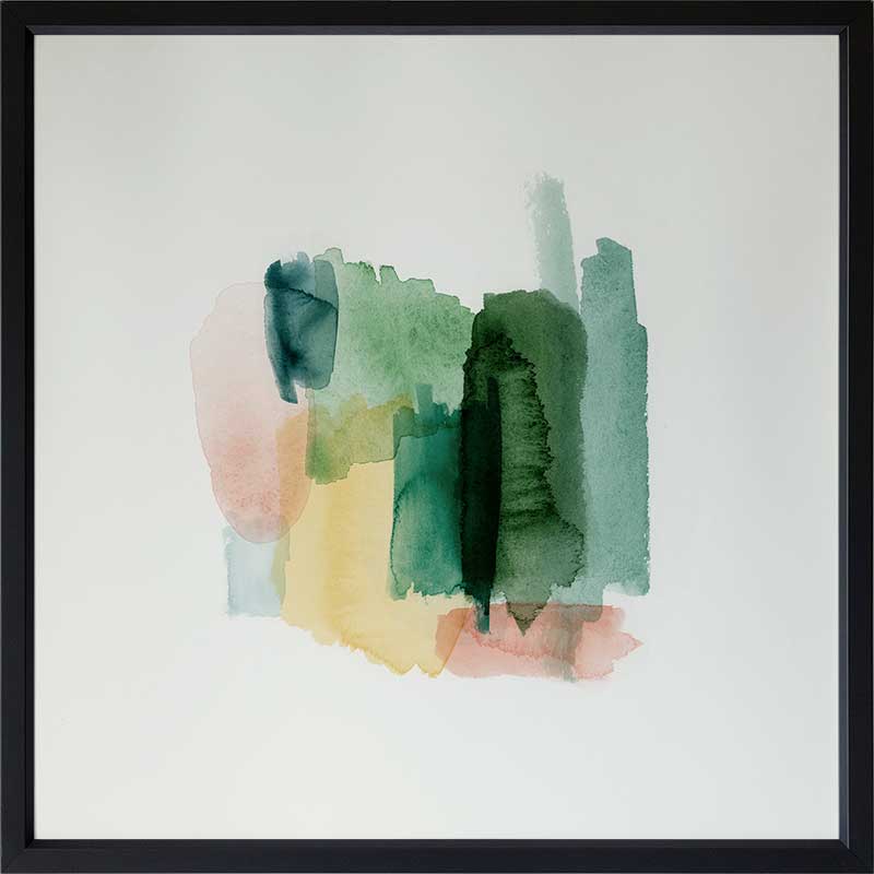 Montana Framed Art Print