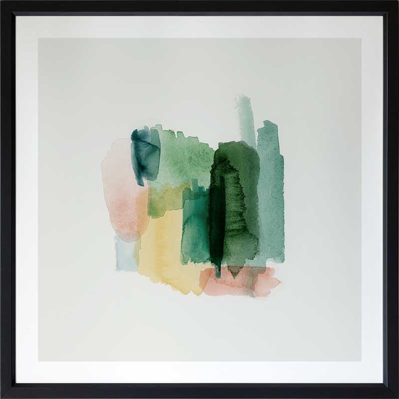 Montana Framed Art Print