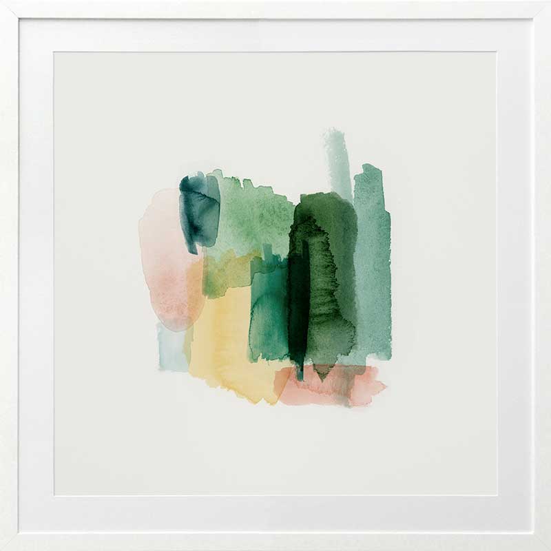 Montana Framed Art Print