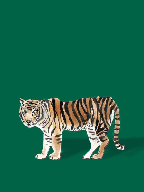 Bengal Canvas Art Print