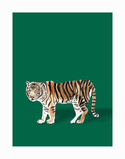 The Bengal Unframed Art Print by Urban Road features a realistic watercolor tiger with orange fur and black stripes on a solid dark green background, ideal for an eye-catching tropical design.