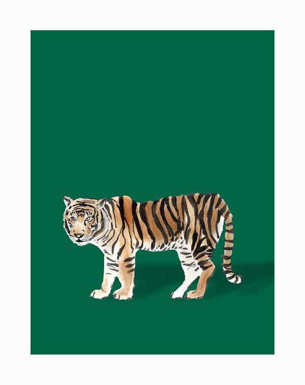 The Bengal Unframed Art Print by Urban Road features a realistic watercolor tiger with orange fur and black stripes on a solid dark green background, ideal for an eye-catching tropical design.