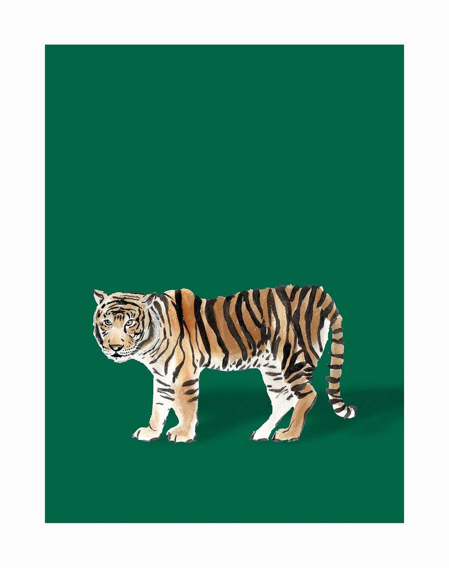 The Bengal Unframed Art Print by Urban Road features a realistic watercolor tiger with orange fur and black stripes on a solid dark green background, ideal for an eye-catching tropical design.