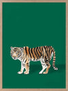 Bengal Poster Framed Art Print