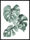 Zulu Monstera Canvas Art Print
