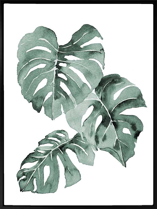 Zulu Monstera Canvas Art Print
