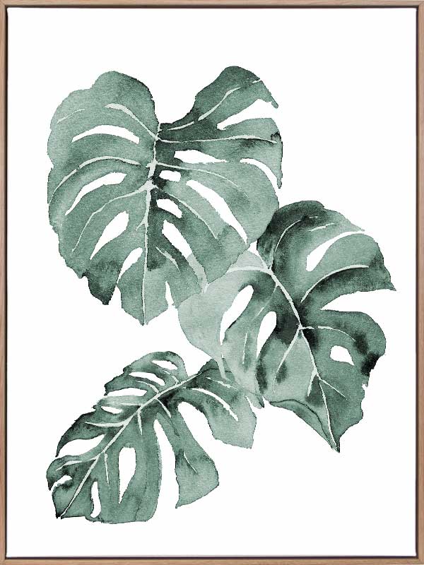 Zulu Monstera Canvas Art Print