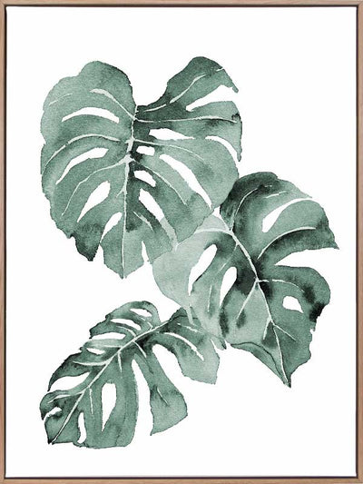 Zulu Monstera Canvas Art Print
