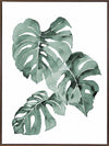 Zulu Monstera Canvas Art Print