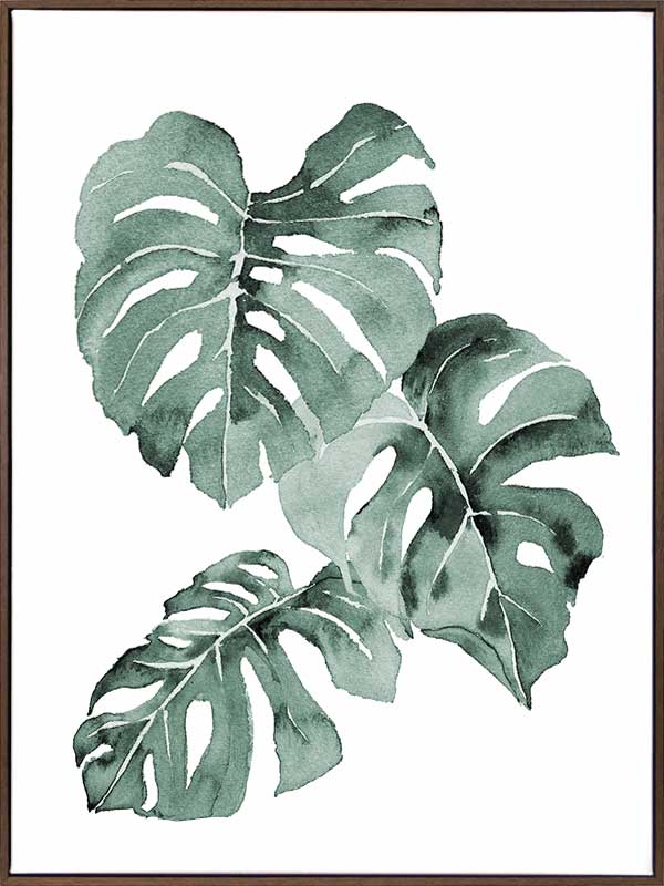 Zulu Monstera Canvas Art Print