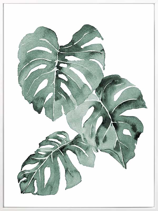 Zulu Monstera Canvas Art Print