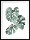 Zulu Monstera Framed Art Print