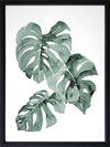 Zulu Monstera Framed Art Print