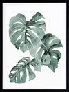 Zulu Monstera Framed Art Print