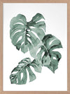 Zulu Monstera Framed Art Print
