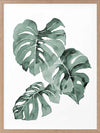 Zulu Monstera Framed Art Print
