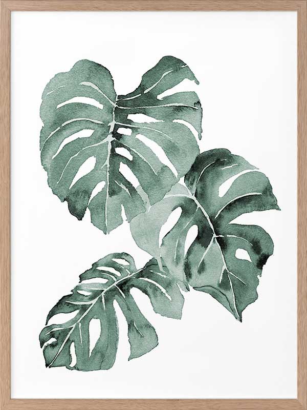 Zulu Monstera Framed Art Print
