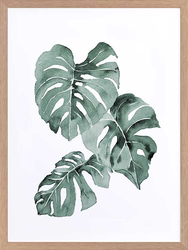 Zulu Monstera Framed Art Print