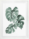 Zulu Monstera Framed Art Print