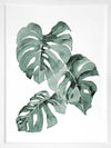 Zulu Monstera Framed Art Print