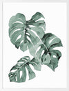 Zulu Monstera Framed Art Print