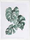 Zulu Monstera Framed Art Print