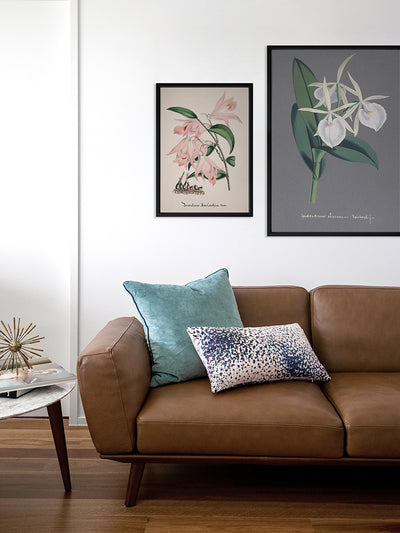 Epidendrum Poster Framed Art Print | Lifestyle