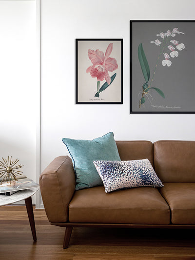 Burlingtonia Poster Framed Art Print | Lifestyle