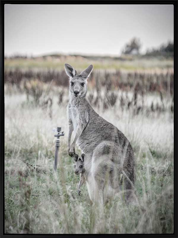 Hitch Hiker Canvas Art Print
