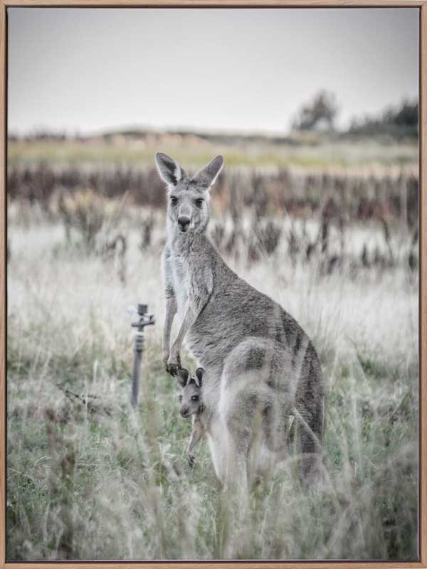 Hitch Hiker Canvas Art Print