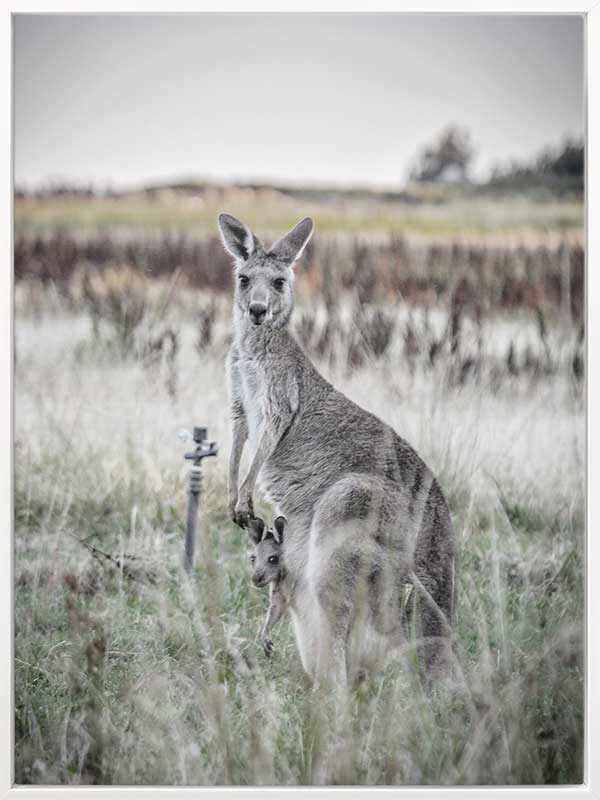 Hitch Hiker Canvas Art Print
