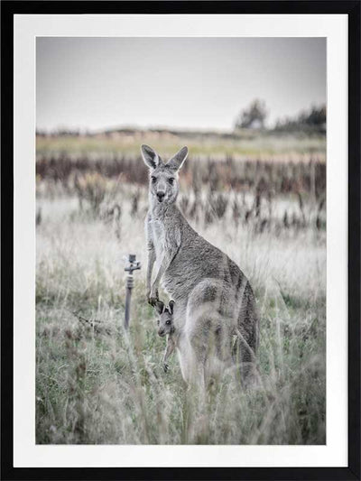 Hitch Hiker Poster Framed Art Print