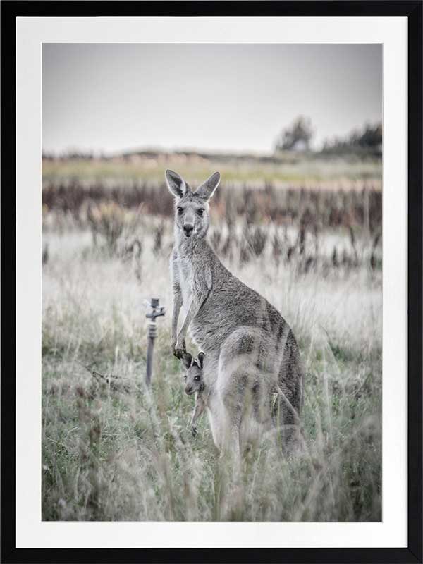 Hitch Hiker Poster Framed Art Print