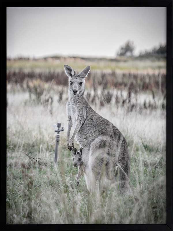 Hitch Hiker Poster Framed Art Print