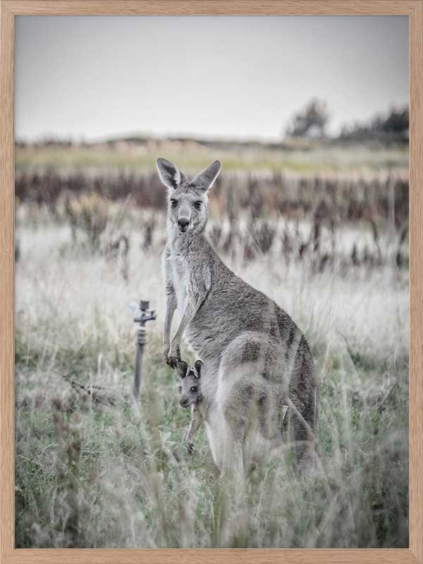 Hitch Hiker Poster Framed Art Print