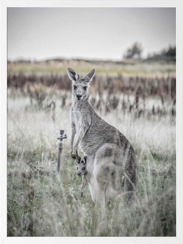 Hitch Hiker Poster Framed Art Print