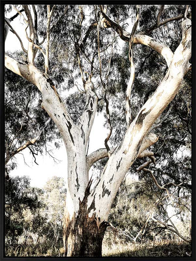 Solitude Canvas Art Print