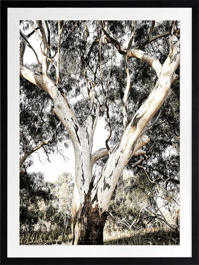 Solitude Poster Framed Art Print