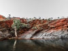 The By the Billabong Unframed Art Print by Urban Road depicts a rugged red-earth rockface with layered stone, sloping to calm water where a solitary tree stands, sparse vegetation crowning the rocks under a pale sky.