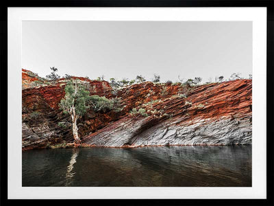 By the Billabong Poster Framed Art Print