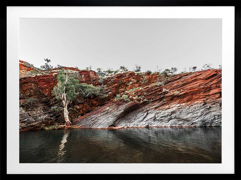 By the Billabong Poster Framed Art Print