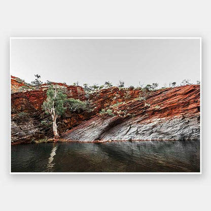 By the Billabong Unframed Art Print