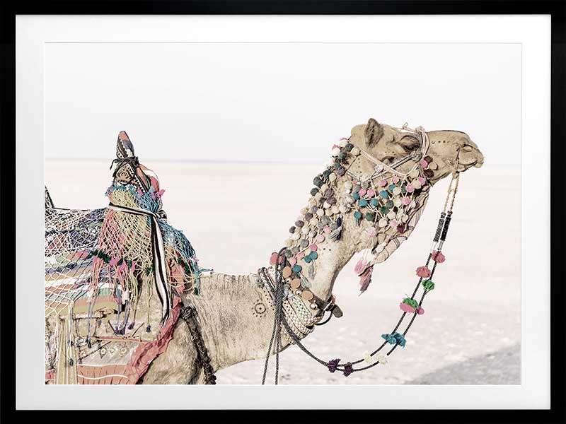 Globe Trotter Poster Framed Art Print