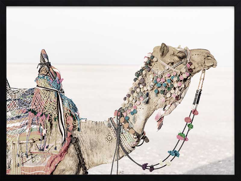 Globe Trotter Poster Framed Art Print